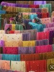 Pin by YoungOk Hwang on 수채화 강좌 | World of color, Bahawalpur, Pakistan
