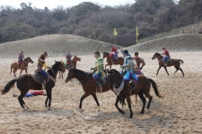 제주도  더마파크 말과 함께 공연하는 곳으로  천녀늬제국 아~ 고구려 라는 제목으로  역사 적인  대서사시를 공연하는데    그 웅장함이 가슴으로... 