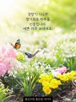 예쁜 하루 보내세요. | 자연 사진, 아침 이미지, 좋은 말