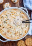 Cheesy Hot Crab Dip | Crab dip recipes, Crab dip, Hot crab dip