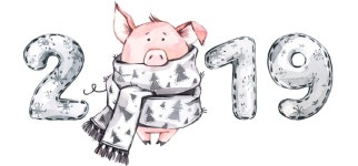 Як зустріти новий 2019 рік | 돼지