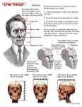 Pin by 현국 정 on 기초 | Drawing lessons, Drawings, Anatomy drawing