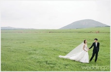 [웨딩드레스] 제주도에서 담은 생애 가장 따뜻한 날들의 기록, 갤러리B < 웨딩뉴스 < 월간웨딩21 웨프 | 웨딩드레스, 갤러리, 한복