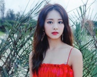 Pin de 동원 김 em 시쥬 | Twice tzuyu, Twice, Feminino