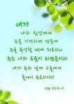 [좋은 성경 구절] 아무것도 염려하지 말고 오직 모든 일에 기도와 간구로 - 2022 | 성경, 성경 구절, 좋은 아침 인사