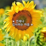 ★ 언제나 감사하는 마음 ★  두 눈이 있어 아름다움을 볼 수 있고  두... 가슴이 있어 기쁨과 슬픔을  느낄 … | 감사하는 마음, 감사하는, 좋은 글귀