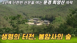 1년에 단한번 산문을 여는 천혜의 경관, 문경 희양산 자락의 봉암사의숲 [미래실험] KBS 2003.03.05 방송 | 국립공원, 숲, 불교