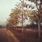 집 앞 공원  - #운동#조깅#부산시민공원#busan#부산#송상현광장#서면#부산진구#여행#park#busancitizenspark#헬스#다이어트#diet... 