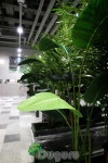 artificial landscape 실내조경 , 인조실내조경 , artificial  indoor landscape , planterior - 2020