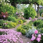 @thearmanihouse #garden #charminggarden | 코티지 가든, 정원 아이디어, 정원 가꾸기