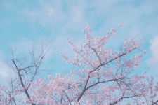 Pin on 이노배경작업