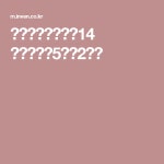 파이ㅈㆍ널판타지14 모바일인벤5ㅈㆍ2ㆍㄷ | 파이