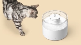 pet water purifier 빛을 담은 반려동물 정수기 두잇 워터팟