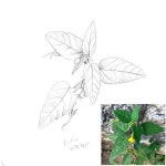 . 파주 감악산에서 1분에게만 드려요🌿 Booking available .