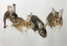 색연필 1 (colored pencil)에 있는 핀