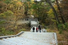 Palgongsan Natural Park - Donghwasa Temple District (팔공산자연공원 동화사지구)