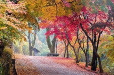 무등산증심사2.jpg | 단풍