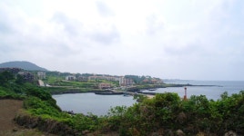 넓은 바다... 그리고 낮… | 바다 안녕하세요 여행친구 우리닷컴... 바람으로 휘날리는 푸른 자연과 눈을 정화시켜주는 넓은 바다... 그리고 낮... 