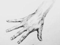 #연필 #소묘 #드로잉 #스케치 #데셍 #pencildrawing #drawing #hand #sketch #dessin #그림스타그램 #취미미술 #취미생활 #그림… | 그림, 손