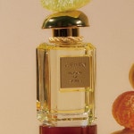 향기로 말해요 - 2023 | 향수, 이용 약관, 가지