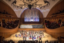 art 예술에 있는 핀