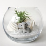 •플랜테리어 Terrarium 으로 나만의 아늑한 실내정원 만들기! : 네이버 블로그 | 실내정원, 테라리움