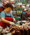 Korean traditional market offal #korea #travel  #food | Food, Korean street food, Food market