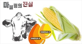 소고기 마블링 진실, 가장 비싼 정크 푸드를 먹는 우리 | 매거진 낯선사고 - 2020 | 소고기, 마블링, 다이어트