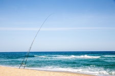 평창동계올림픽2018의 기간이며, 설날연휴동안에 강릉의... 남항진에서 시작을 하여 강릉항, 안목해변,강릉커피거리, 송정해변... 