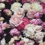 This is so beautiful 😍🌸🌺 꽃이 미치도록 아름답군😱 (com imagens) | No rain