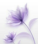 미정 정님의 유치원 이미지 | 수채화 꽃, 꽃 프레임, 수채화