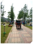 김포 걸포중앙공원 주말 나들이 | Travel, Sidewalk