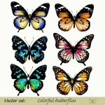 Pin de 혁 윤 en 빠른 저장 en 2023 | Dibujos de mariposas, Como dibujar mariposas, Arte de mariposa