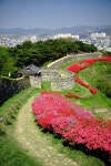 고창 Korea