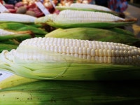 할머니 한분이 오셔서 족발을 보며 입맛만 다신다 ..  족발 드릴까요..?... 하도 궁금해 뭐 찾으시는거라도 있으세요..? 라고 여쭤보니 할머…