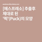 [에스프레소] 추출후 제대로 된 퍽(Puck)의 모양 | 에스프레소, 모양, 의