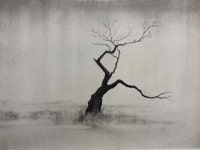 sosuh.com 연필화 작가 소서의 드로잉. - 2021 | 연필화, 작가