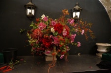 the great arrangement ceremony: Dahlia(이미지 포함)
