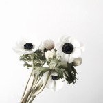 블루밍스완 취미반 모집해요  문의-janejoung310... florist #flower #wedding #white #bouquet #daily #interiors #플로리스트…