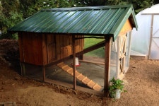Repurposed Garden Shed to Quaint Coop | 닭