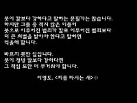 [유머] 기레기들이 싫어하는 판타지 소설 명대사 | 영감 인용구, 현명 인용구, 명언