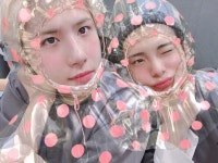 Pin on 에이스
