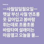 ㅡ사월일일월요일ㅡ 햇살 부신 사월 연초롱 옷 갈아입고 봄바람 휘는데로 초롱초롱 바람타며 설래이는 마음열고 오늘을 물들여... | 건강, 옷