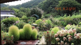 [1부] 봄부터 가을까지 꽃과 함께하는 시골집정원 / [Part 1] Country house garden with flowers from spring to autumn - 2023 | 꽃... 