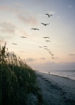 Hi, I`m Marjan from the Netherlands. -- Welcome to my summerblog! --- None of the images posted is... | 풍경 사진, 해변, 자연