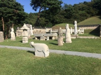 포은 정몽주 선생의 묘  고려말 역성혁명을 반대 했기에 온건개혁파에 속한 포은 정몽주. 그 뜻을 이루지 못 하고 선죽교에서 생을 마감했다.... 