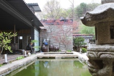 춘천 나무향기 목향원 - Google 검색 | 여행, 검색