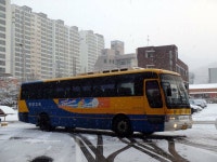 Bus에 있는 8478 K님의 핀