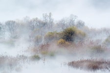 호반풍경 용담호, Korea | Pictures, Outdoor, Snow