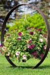 Pin de Lady em 꽃꽂이 | Vasos de plantas suculentas, Banco de jardim, Jardim do quintal